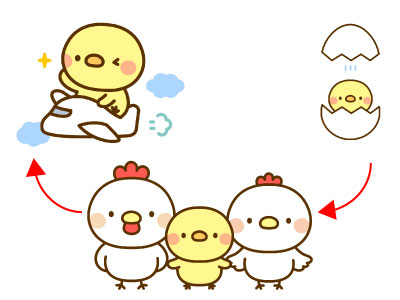 家族が増えたとき